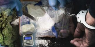 Претрес во Гевгелија – пронајдена дрога, приведени тројца млади гевгеличани